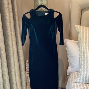 Eliza J Green Velvet dress.
